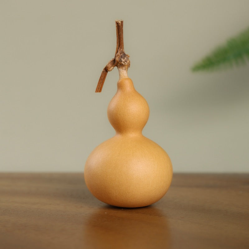 Natural Skin Gourd with Dragon Head, Wrist Twist Soft Small Gourd, Office Desk Decoration