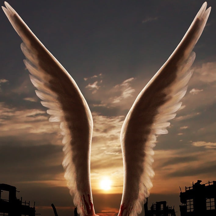 FengShui Wing Lucky Ring